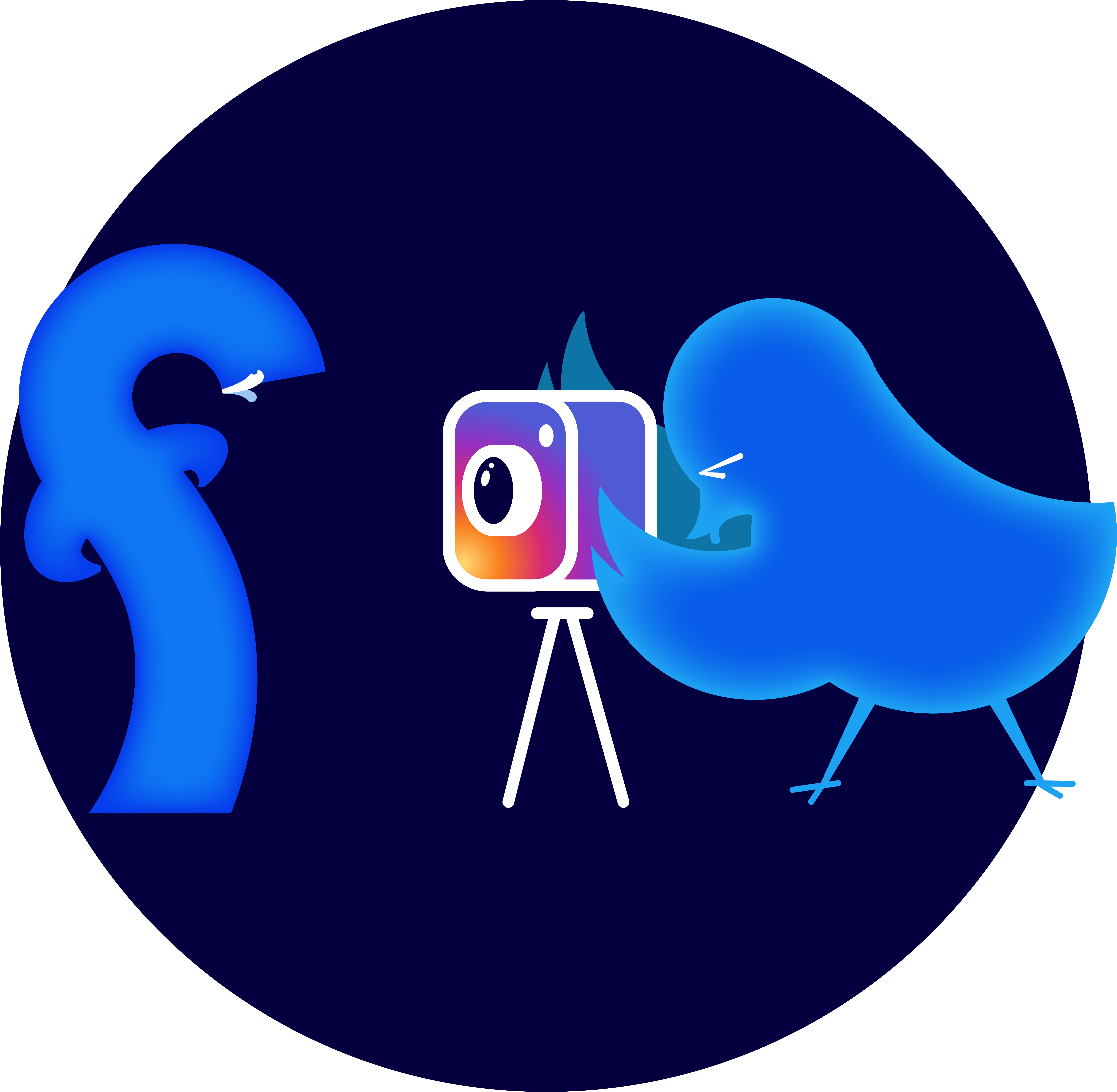 twitter bird instagrams facebook