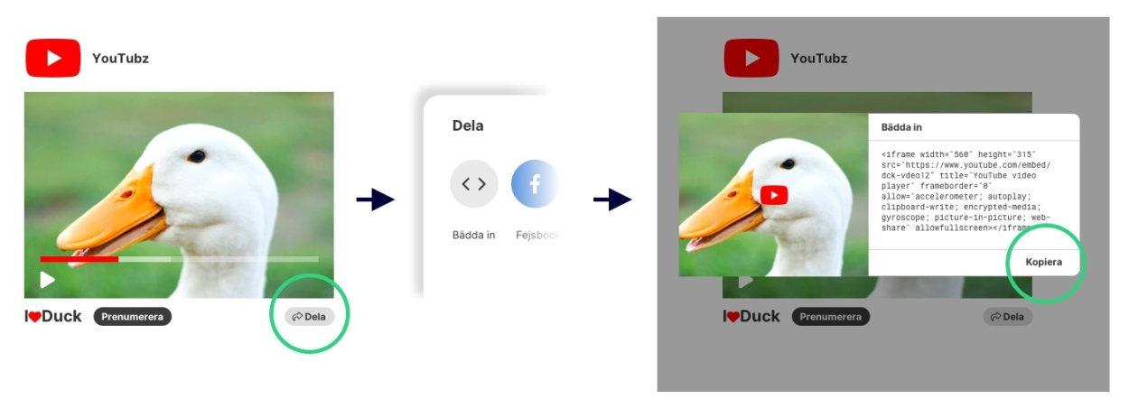 illustration embed film