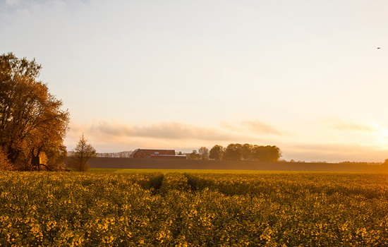 Webbsajt för Lilla Harrie Valskvarn av 040