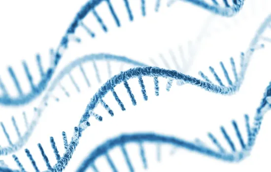 Webbsajt för Qlucore av 040